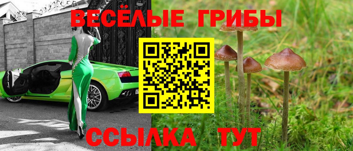 Новоуральск  продажа наркотиков  Вход с VPN  Галлюциногенные грибы Psilocybe  Псилоцибиновые грибы MAGIC MUSHROOMS 